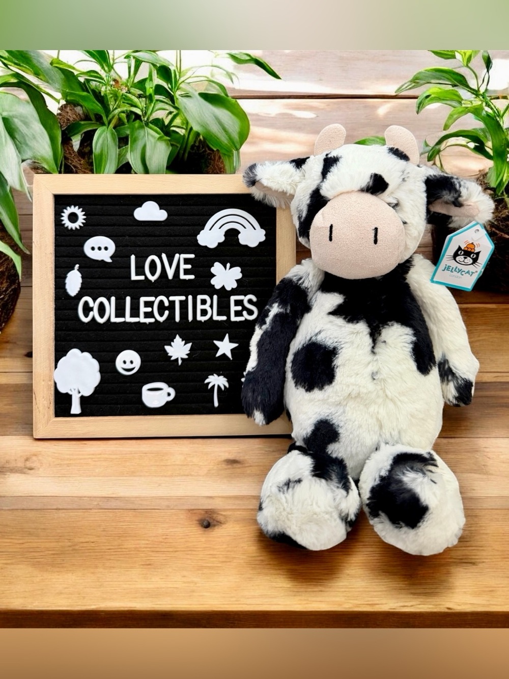 Authentic Jellycat Bashful Calf